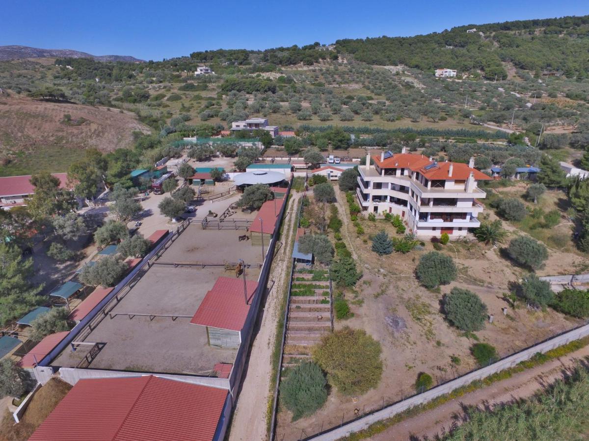 Οδυσσεια, Κοντά Σε Αεροδρόμιο, Λιμάνια Και Θάλασσες Apartment Keratea Exterior photo